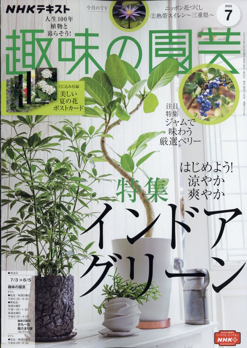 NHK 趣味の園芸 2022年 7月号 [雑誌]のサムネイル