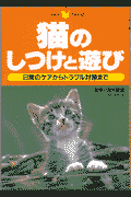 猫のしつけと遊び