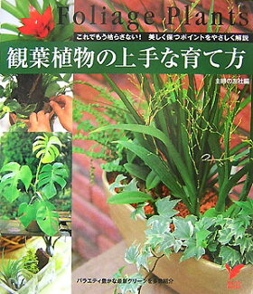 観葉植物の上手な育て方 これでもう枯らさない!美しく保つポイントをやさしくの表紙