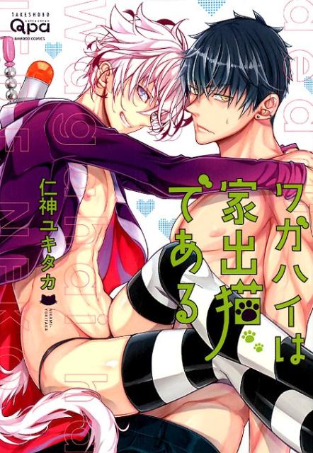 ワガハイは家出猫である