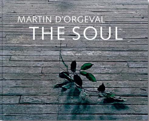 MARTIN D'ORGEVAL:THE SOUL(H)