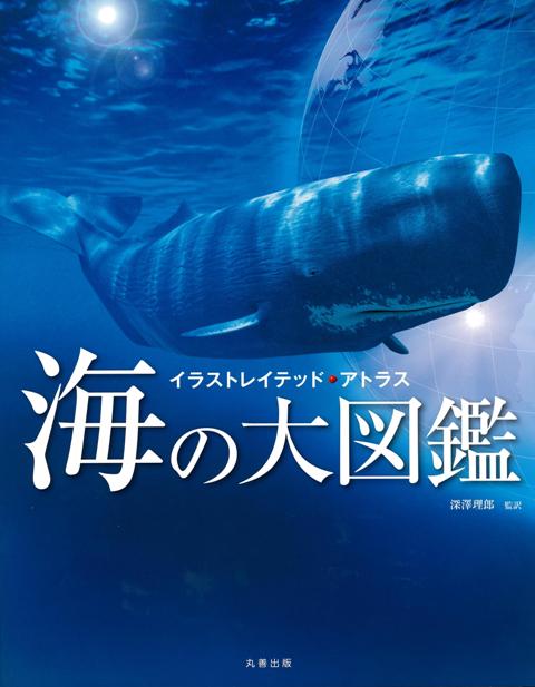 【バーゲン本】海の大図鑑ーイラストレイテッド・アトラス [ 深澤　理郎 ]