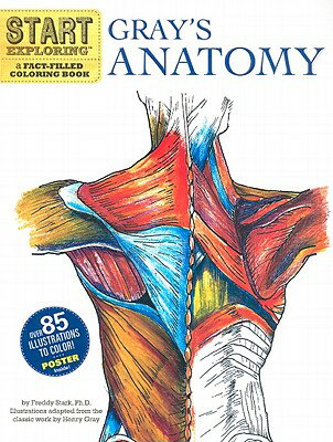 GRAY 039 S ANATOMY:FACT-FILLED COLORING BOOK FREDDY STARK