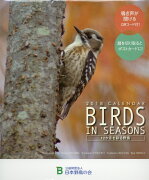 BIRDS　IN　SEASONS卓上カレンダー（2018）
