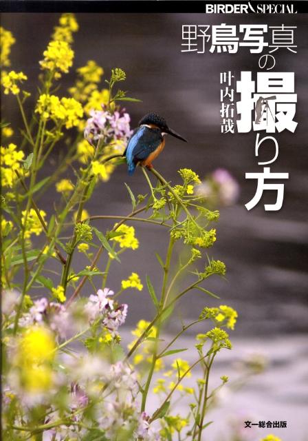 野鳥写真の撮り方 Birder special [ 叶内拓哉 ]