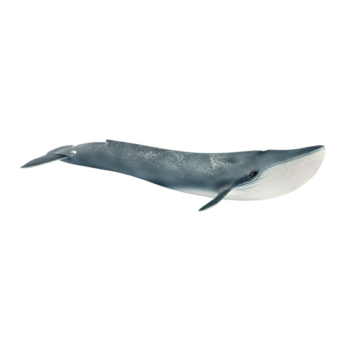 14806　シロナガスクジラ　【シュライヒ】　Wild Life/ワイルドライフ