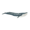 14806　シロナガスクジラ　【シュライヒ】　Wild Life/ワイルドライフ その1