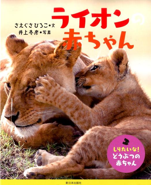 ライオンの赤ちゃん