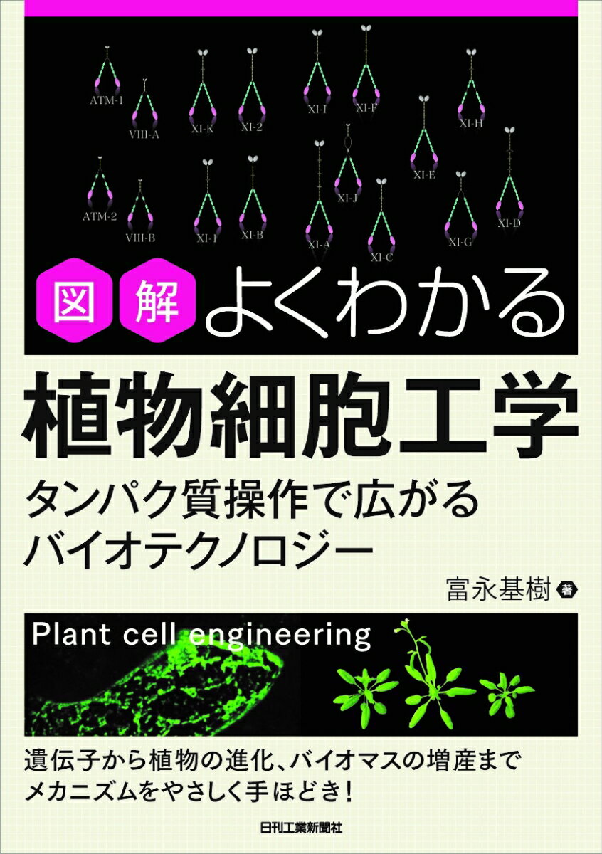 図解 よくわかる植物細胞工学ータンパク質操作で広がるバイオテクノロジーー [ 富永 基樹 ]