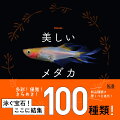 美しいメダカの世界へようこそ！色鮮やかなメダカ、優雅なヒレが自慢のメダカ、ラメが輝くメダカ…驚くほど多彩な品種が誕生し、今空前のブームです！１００種類！新品種続々驚くべき進化！