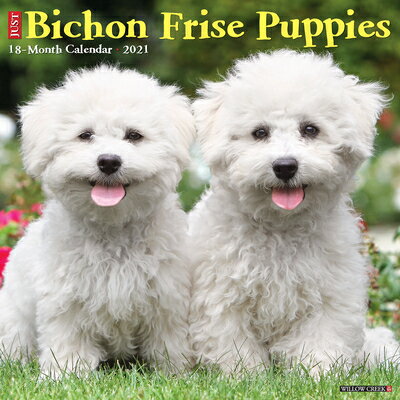 Just Bichon Frise Puppies 2021 Wall Calendar (Dog Breed Calendar)