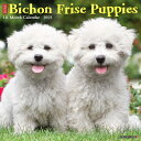 Just Bichon Frise Puppies 2021 Wall Calendar (Dog Breed Calendar) BICHON FRISE PUPPIES 2021 WALL Willow Creek Press