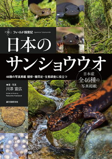 日本のサンショウウオ 46種の写真掲載 観察・種同定・生態調査に役立つの表紙