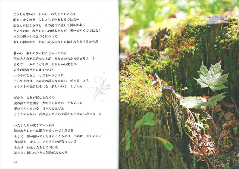 わたしはよろこんで歳をとりたい [ イェルク・ツィンク ]