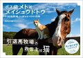 引退後の競走馬たちが余生を過ごす牧場・ノーザンレイク。牧場の窮地を救ったのは、ふらりと現れた１匹の猫だった。-どんなに大変でボロボロになっても、メトがそこにいるだけで「なんとかなるさ」と勇気が湧いてくる。ＳＮＳで話題沸騰！馬と猫の友情フォトブック。