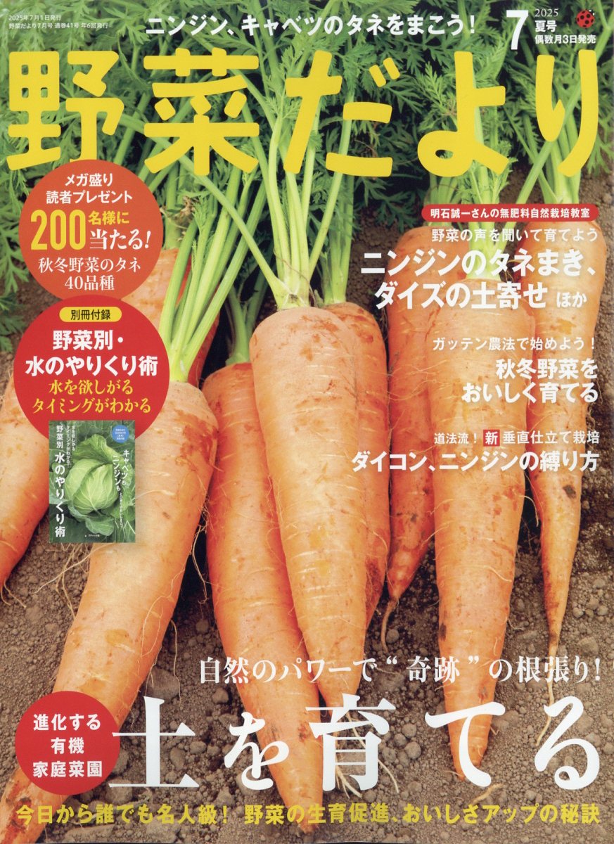 野菜だより 2025年 7月号 [雑誌]