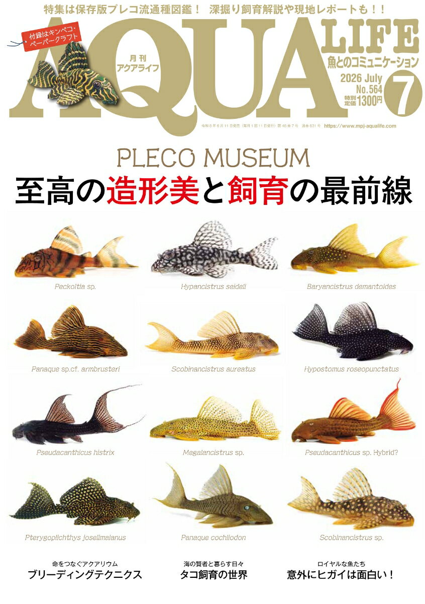 月刊 AQUA LIFE (アクアライフ) 2026年 7月号 [雑誌]