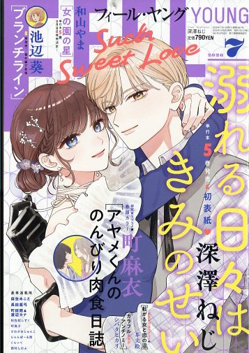 FEEL YOUNG (フィールヤング) 2026年 7月号 [雑誌]