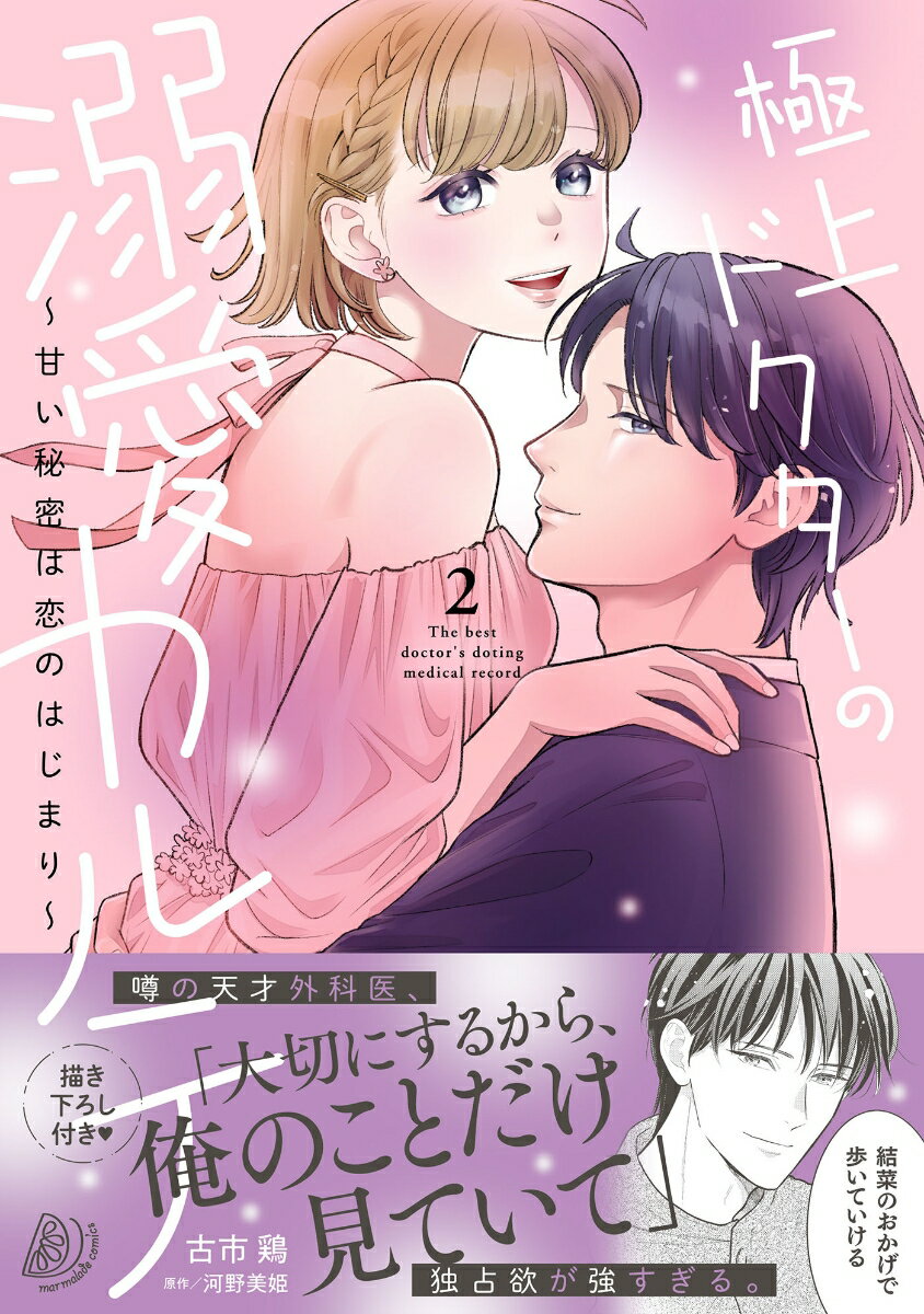 極上ドクターの溺愛カルテ〜甘い秘密は恋のはじまり〜 2