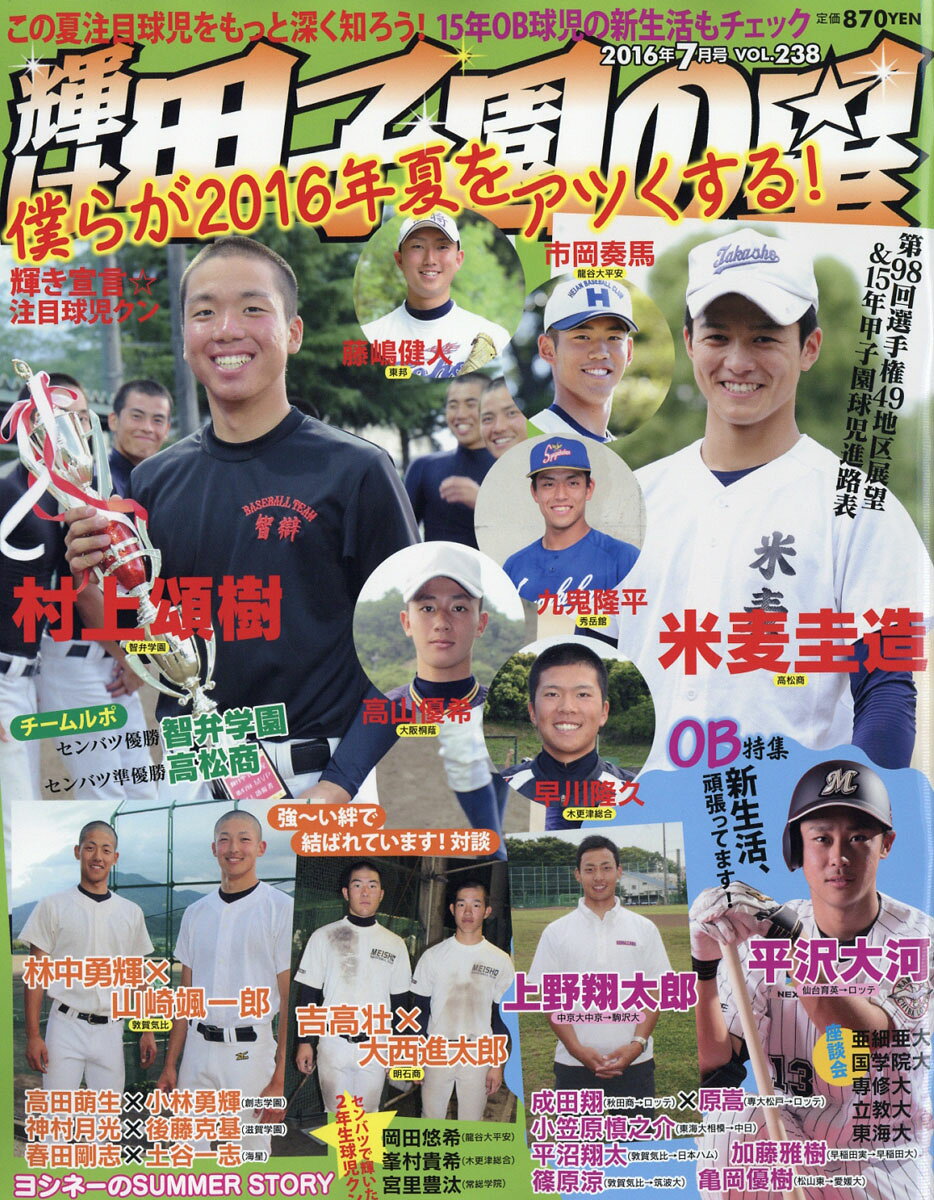 輝け甲子園の星 2016年 07月号 [雑誌]