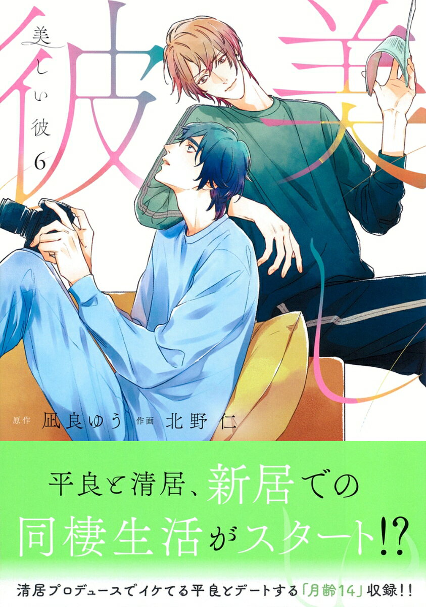 美しい彼（6）の表紙画像