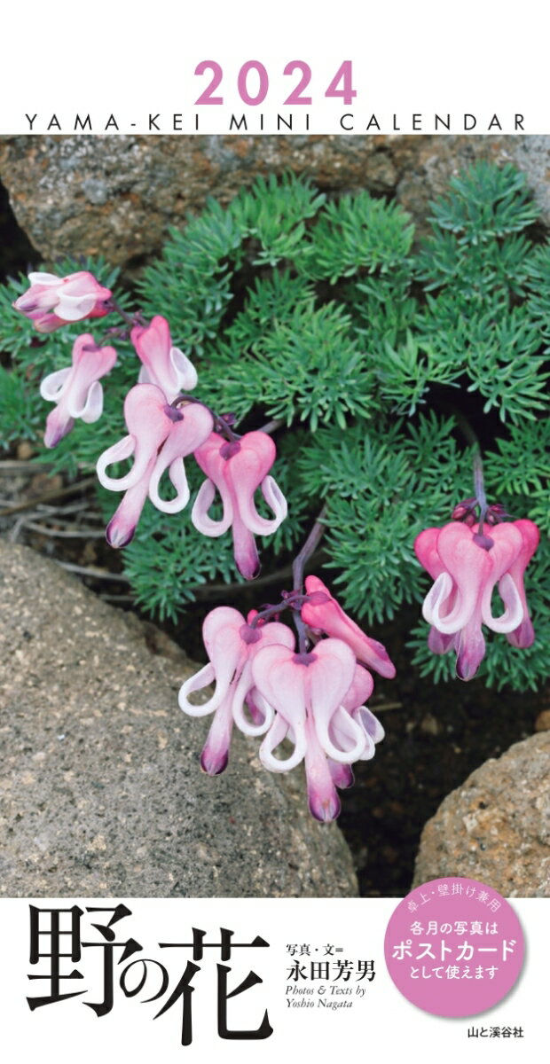 ミニカレンダー野の花（2024）