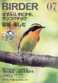 BIRDER (バーダー) 2017年 07月号 [雑誌]