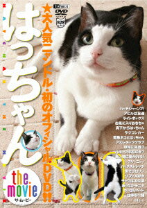 はっちゃん the movie／人気アイドル猫・初DVD！！