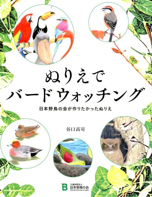 ぬりえでバードウォッチング 日本野鳥の会が作りたかったぬりえ 谷口高司