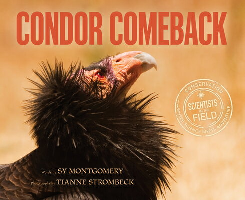 Condor Comeback CONDOR COMEBACK （Scientists in the Field (Paperback)） [ Sy Montgomery ]