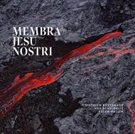 【輸入盤】Membra Jesu Nostri: P.wallin / Vox Scaniensis