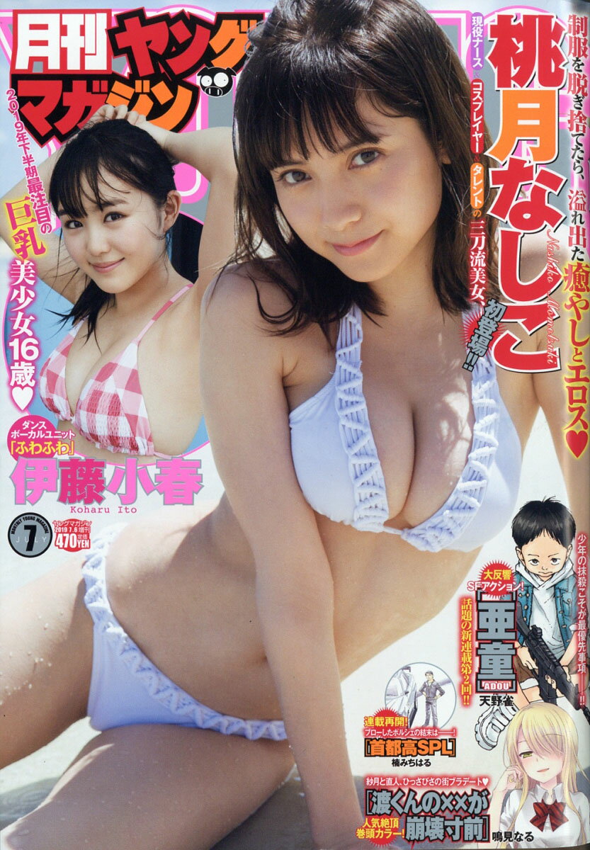 月刊ヤングマガジン 2019年 7/6号 [雑誌]