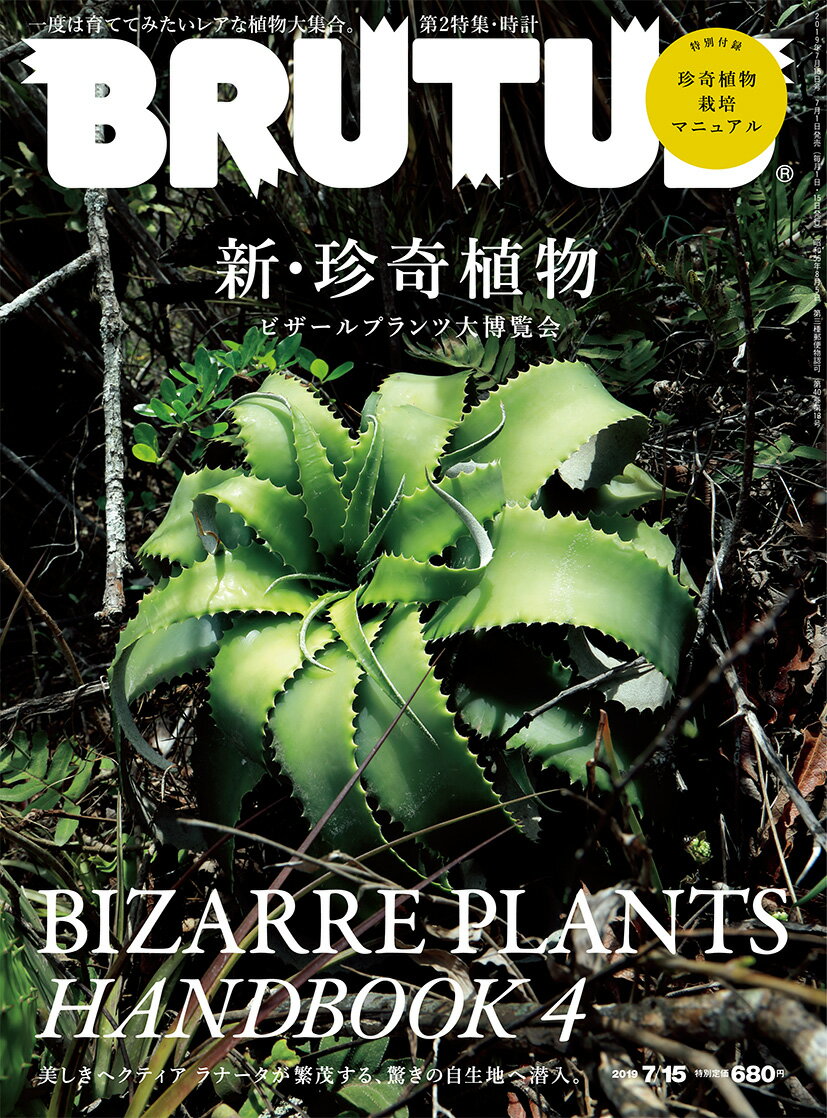 BRUTUS (ブルータス) 2019年 7/15号 [雑誌]