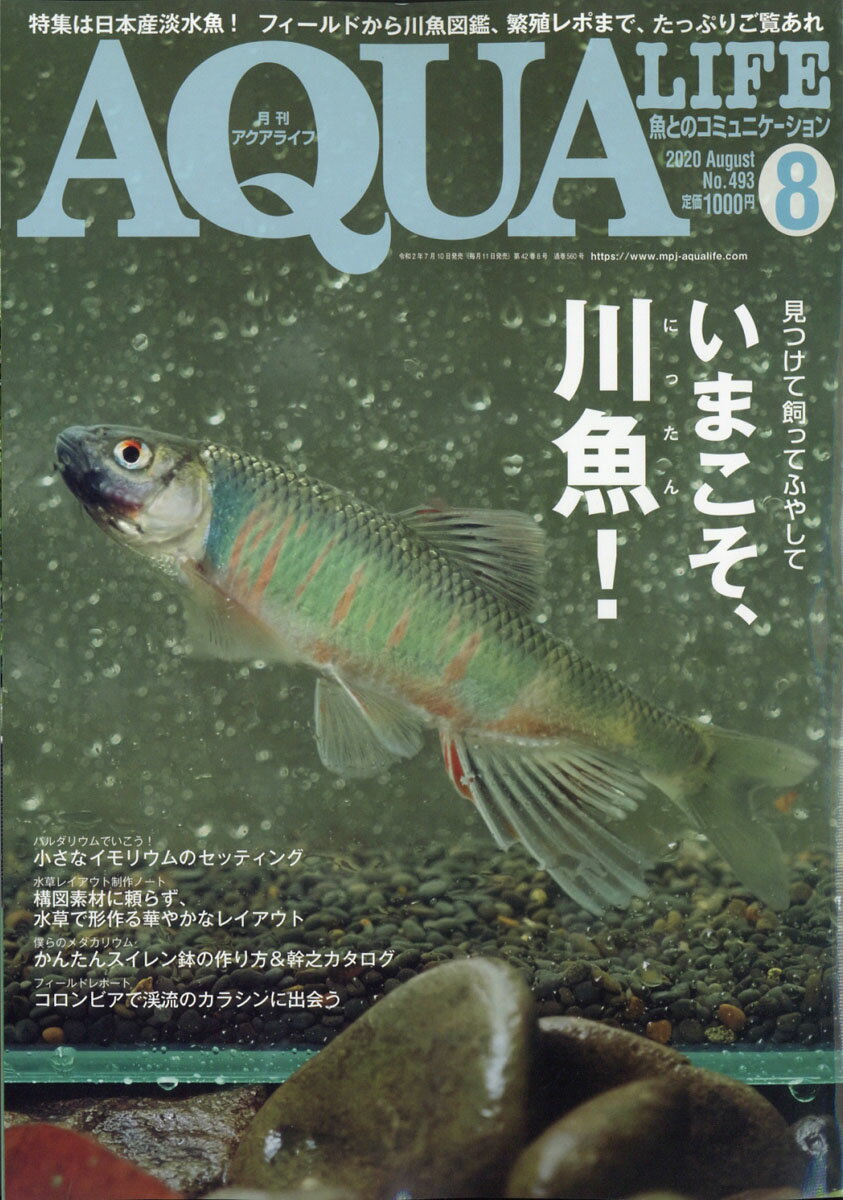 月刊 AQUA LIFE (アクアライフ) 2020年 08月号 [雑誌]