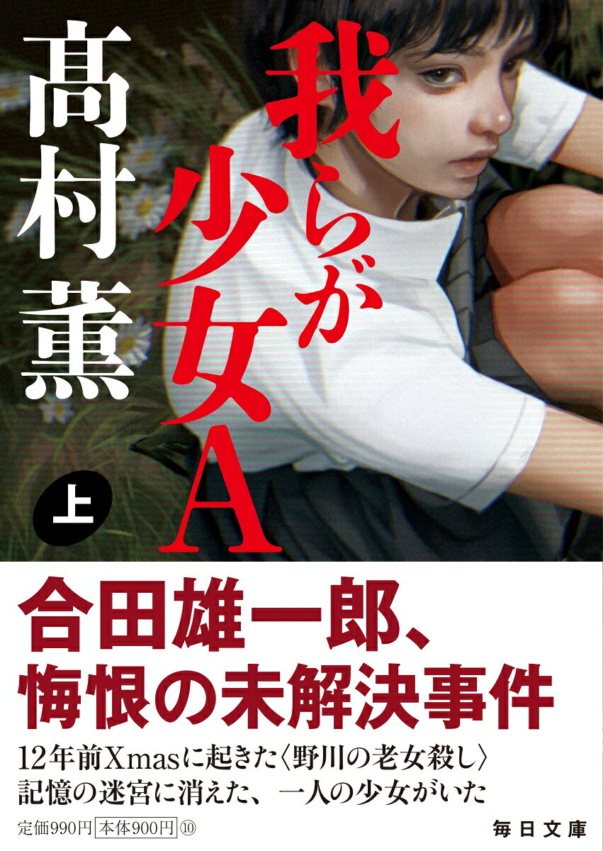 『マークスの山』『レディ・ジョーカー』『冷血』の合田雄一郎シリーズ、待望の文庫化！12年前、元美術教師が殺された未解決事件。当時の捜査責任者合田の胸に、後悔と未練がくすぶり続ける。そこへ、思いも寄らない新証言がーー。