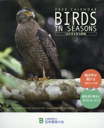 BIRDS　IN　SEASONS卓上カレンダー（2020）