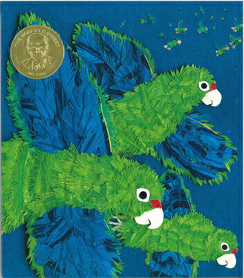Parrots Over Puerto Rico PARROTS OVER PUERTO RICO [ Susan L. Roth ]