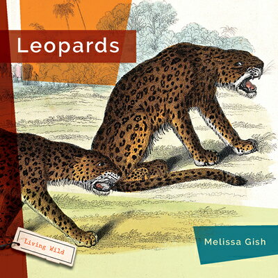 Leopards LEOPARDS [ Melissa Gish ]