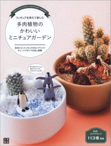 多肉植物のかわいいミニチュアガーデン