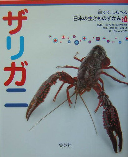 ザリガニ 育てて、しらべる 日本の生きものずかん 3