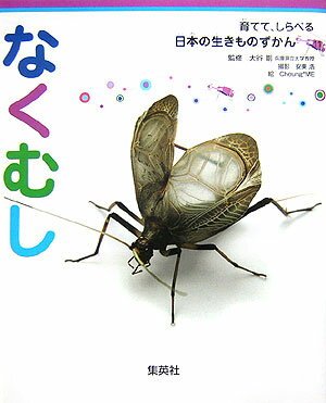 なくむし 育てて、しらべる 日本の生きものずかん 11