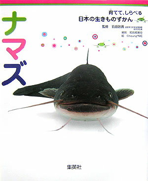 ナマズ 育てて、しらべる 日本の生きものずかん 12 [ 前畑 政善 ]