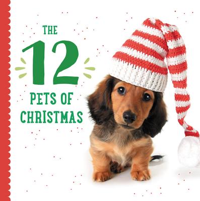 The 12 Pets of Christmas 12 PETS OF XMAS-BOARD （Celebrate the Season） 