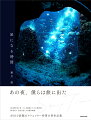 星が紡ぎ出す花、バス、水族館、そして幻想世界。儚く切ない、星空を巡った記憶の物語。ＳＮＳで話題のクリエイター待望の初作品集。大人気作品６０点以上、作品づくりのプロセス初公開。