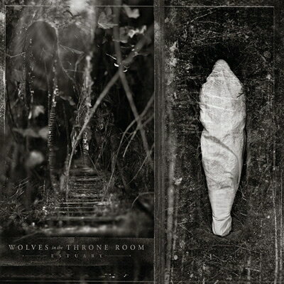 【輸入盤】Estuary (Cd Mediabook)