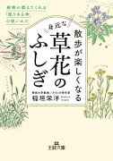 散歩が楽しくなる身近な草花のふしぎ