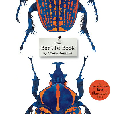 The Beetle Book BEETLE BK [ Steve Jenkins ]