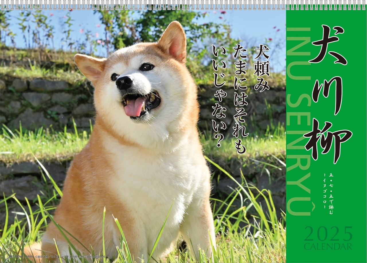 2025カレンダー／018 犬川柳