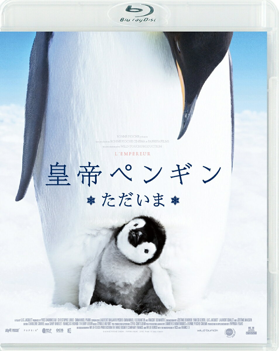 皇帝ペンギン ただいま スペシャル・プライス【Blu-ray】