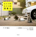 注目の猫写真家・沖昌之と個性的な３人の作家たちによる猫本の新世界！！